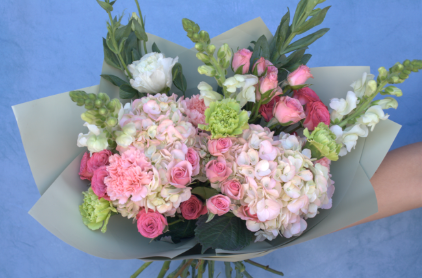 Hortensias minirosas